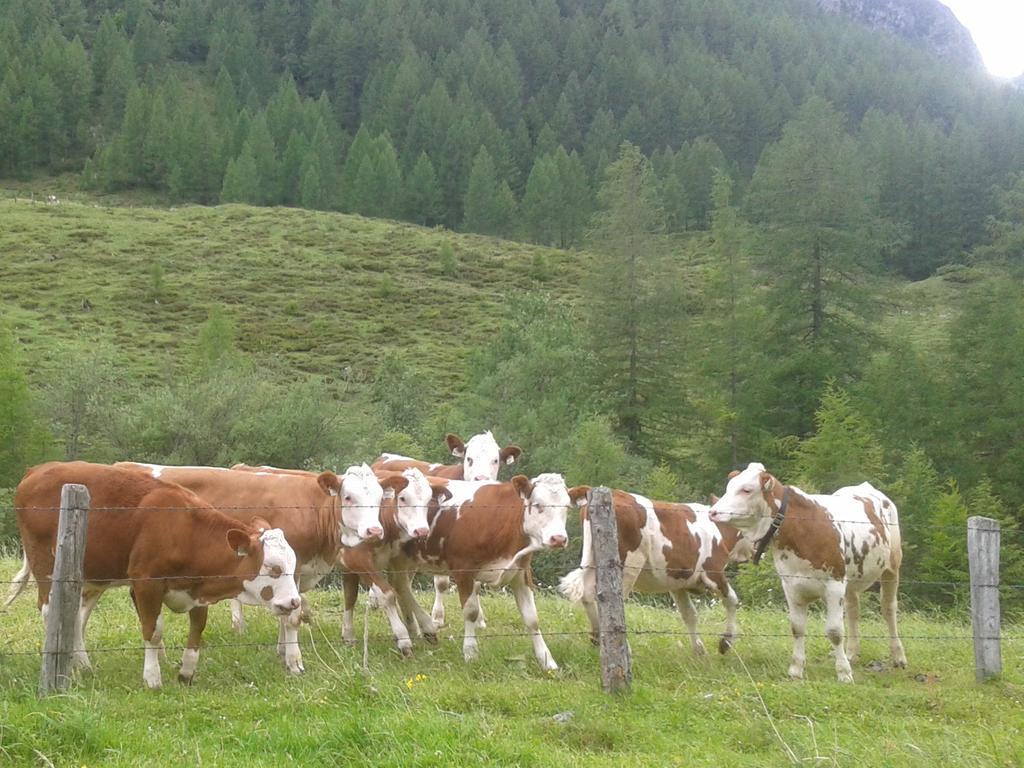 Bauernhof Unterbichl Vila Flachau Exterior foto