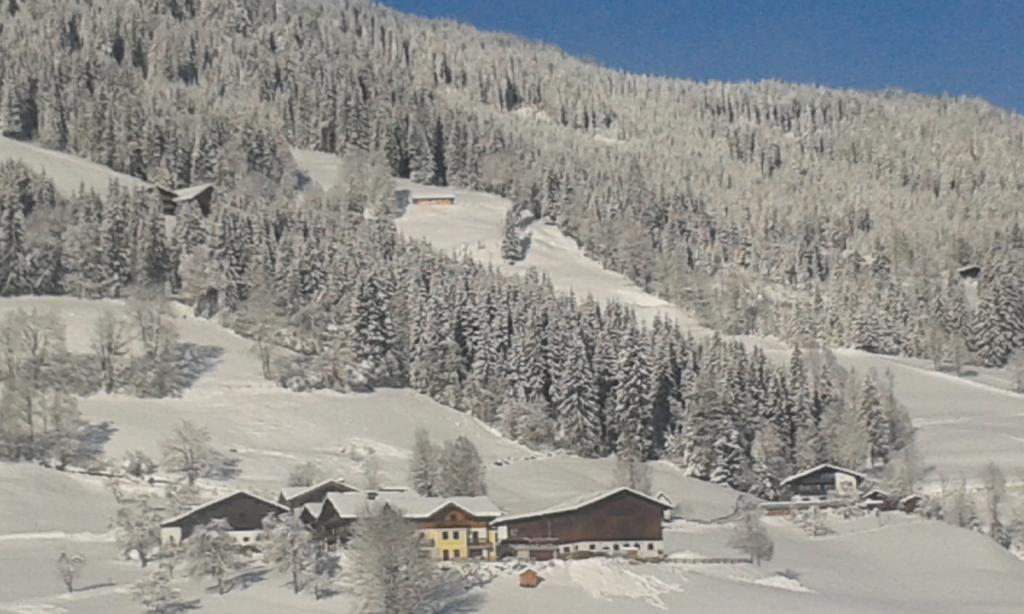 Bauernhof Unterbichl Vila Flachau Exterior foto