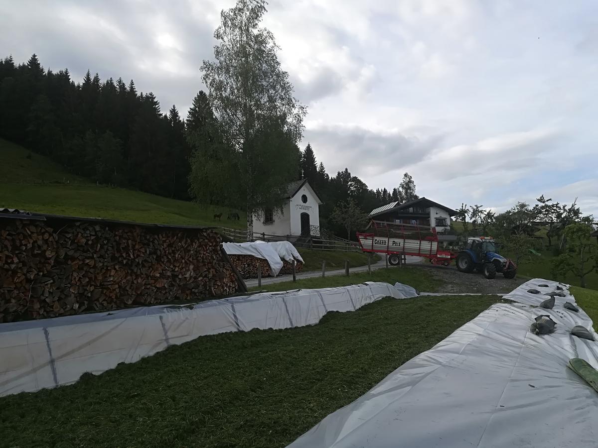 Bauernhof Unterbichl Vila Flachau Exterior foto