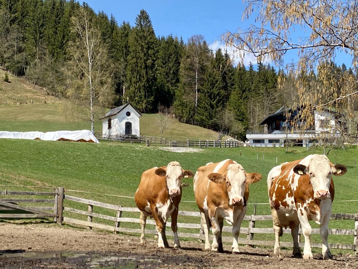 Bauernhof Unterbichl Vila Flachau Exterior foto