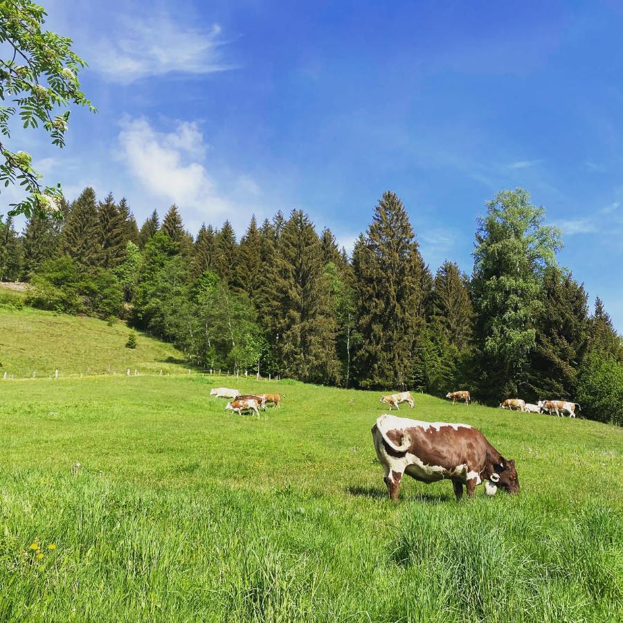 Bauernhof Unterbichl Vila Flachau Exterior foto